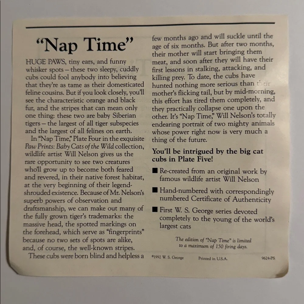 Vintage 1992. Will Nelson. Nap Time. Paw Prints: Baby Cats of the Wild. 2026A